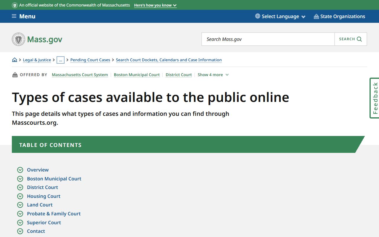Massachusetts case types available online for felony records