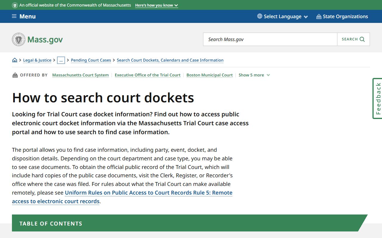 Massachusetts court docket search guide for felony records
